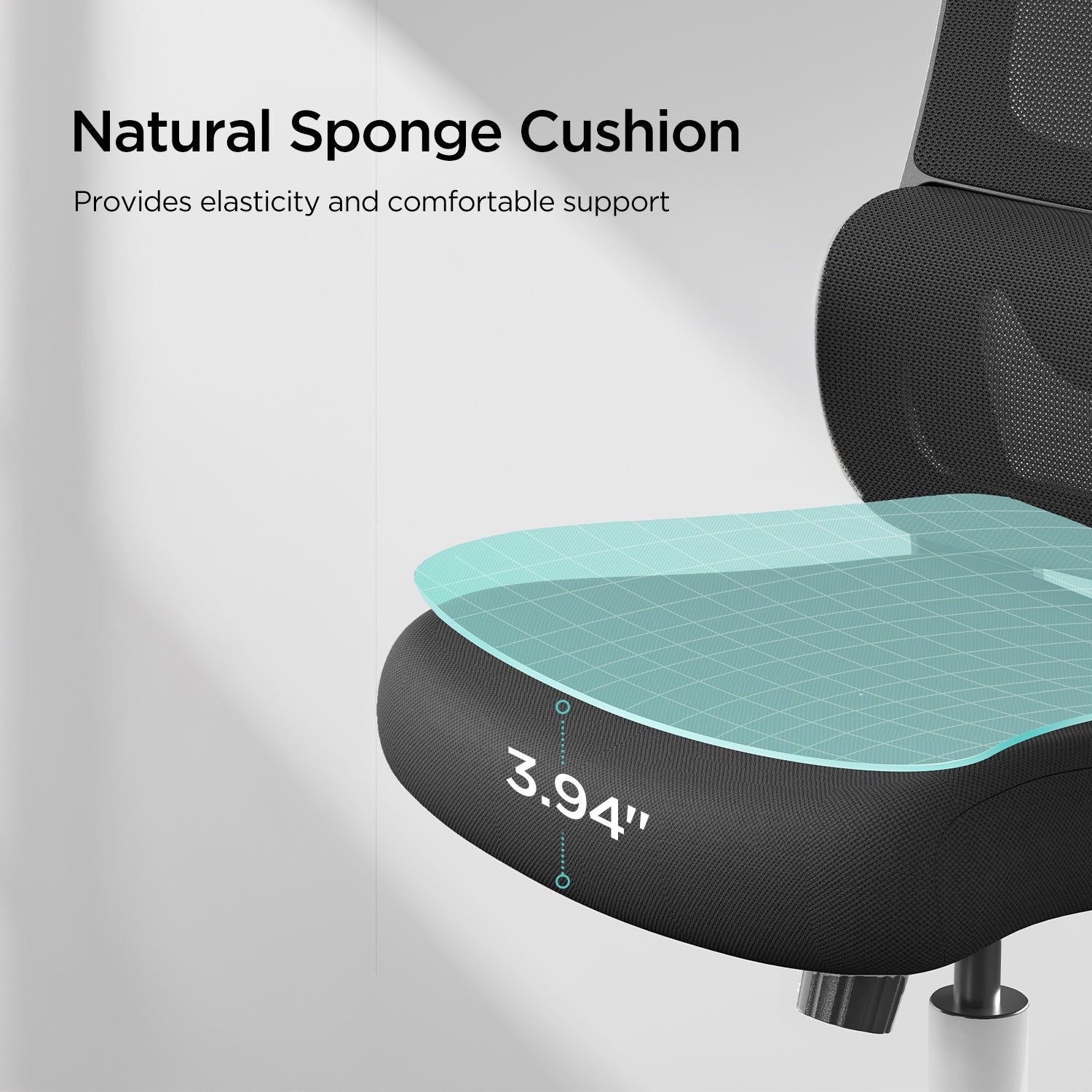 Hbada P1 Ergonomic Office Chair