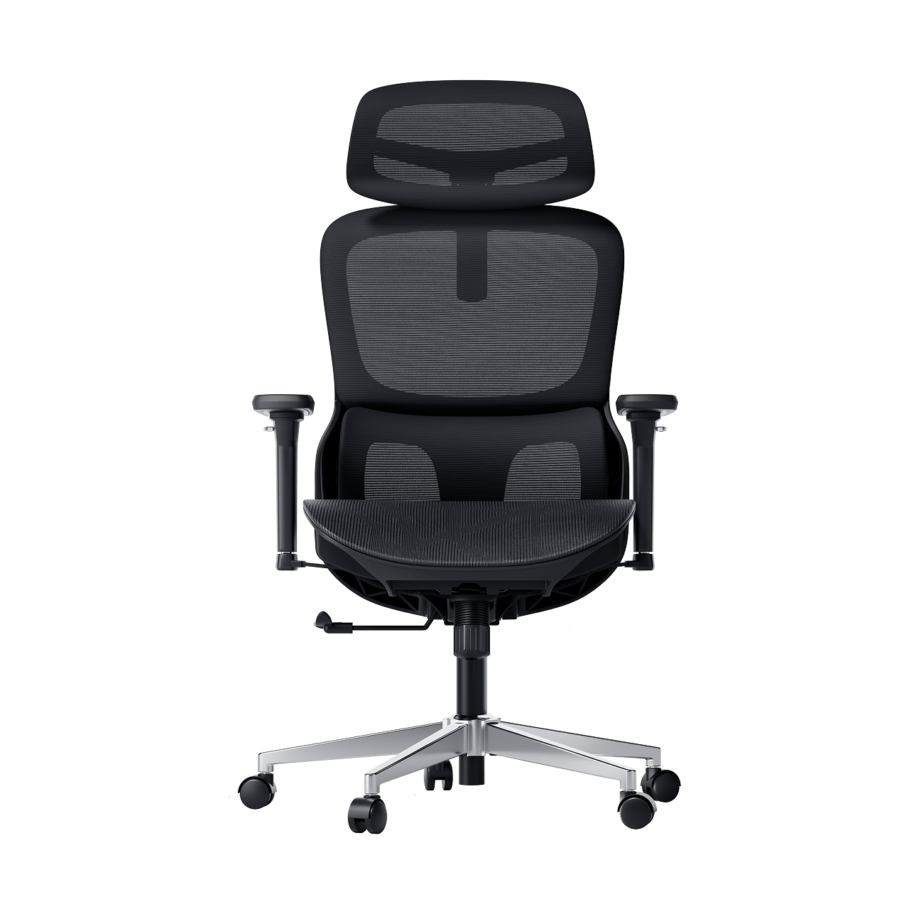 P2 Pro Ergonomic Office Chair without Footrest-Black~1-0